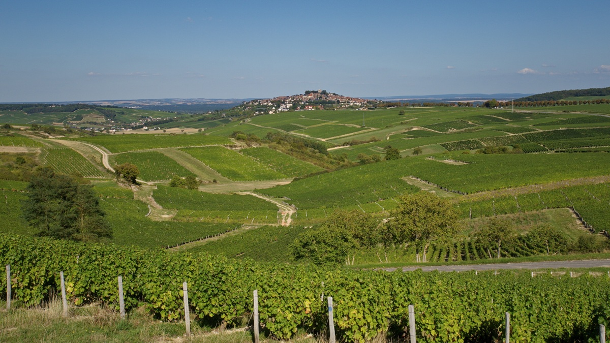 Lire la suite à propos de l’article PALMARES Loire : le TOP 20 des vins les plus chers
