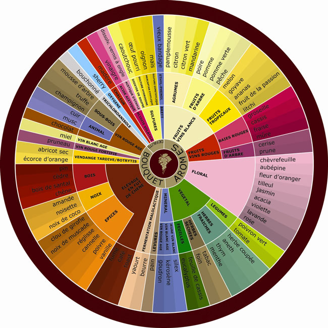 les aromes du vin