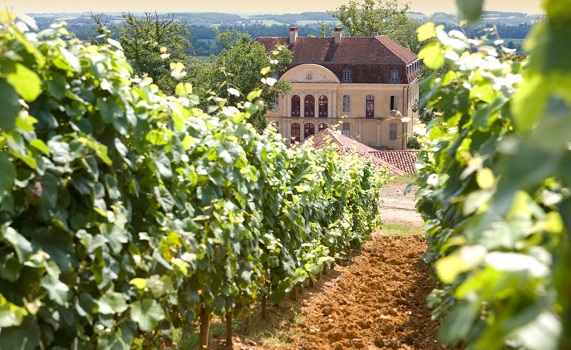 Lire la suite à propos de l’article Palmarès : le TOP des vins du Sud-Ouest aux enchères