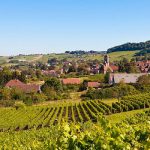 PALMARES des vins du Jura-Savoie et d’Alsace : à l’Est, du nouveau