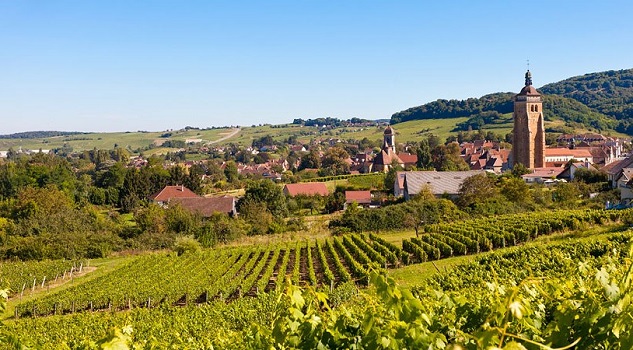 Lire la suite à propos de l’article PALMARES des vins du Jura-Savoie et d’Alsace : à l’Est, du nouveau