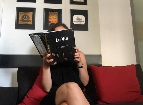 Vin pour les nuls livre