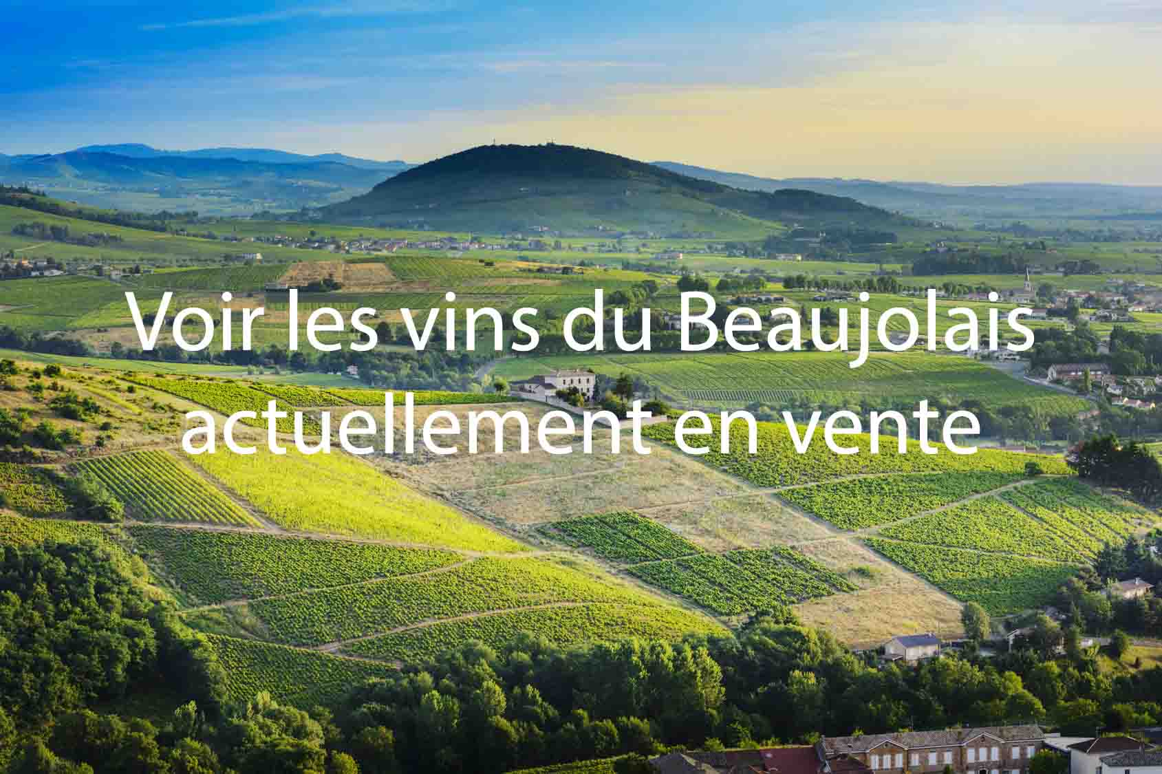 Notes millésime 2015 bon millésime Nord de la France vins du Beaujolais