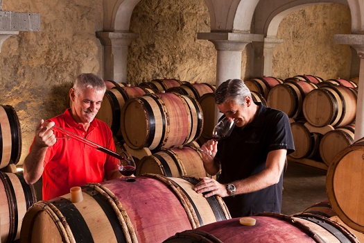 Lire la suite à propos de l’article Beaurenard : un domaine biodynamique à Châteauneuf-du-Pape