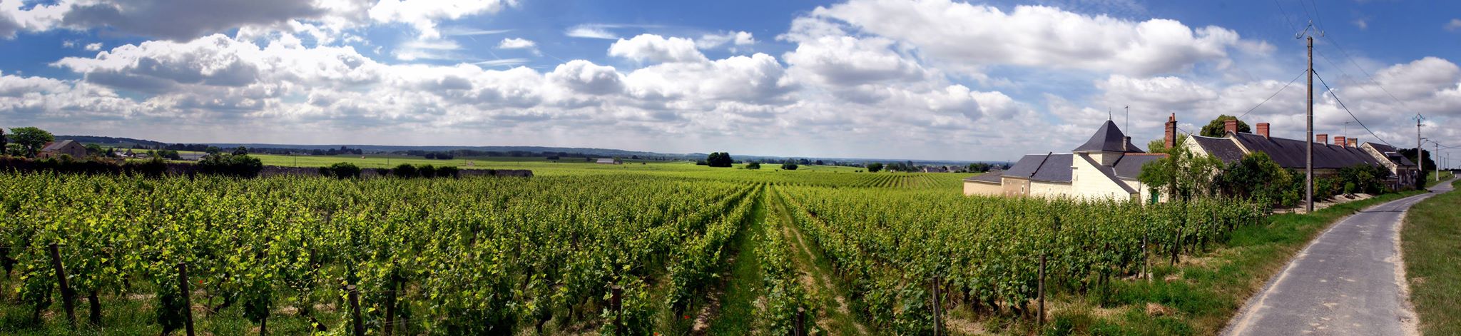 Domaine de la Chevalerie Bourgueil