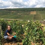 Constance, la vendangeuse d’iDealwine au domaine Bonneau du Martray