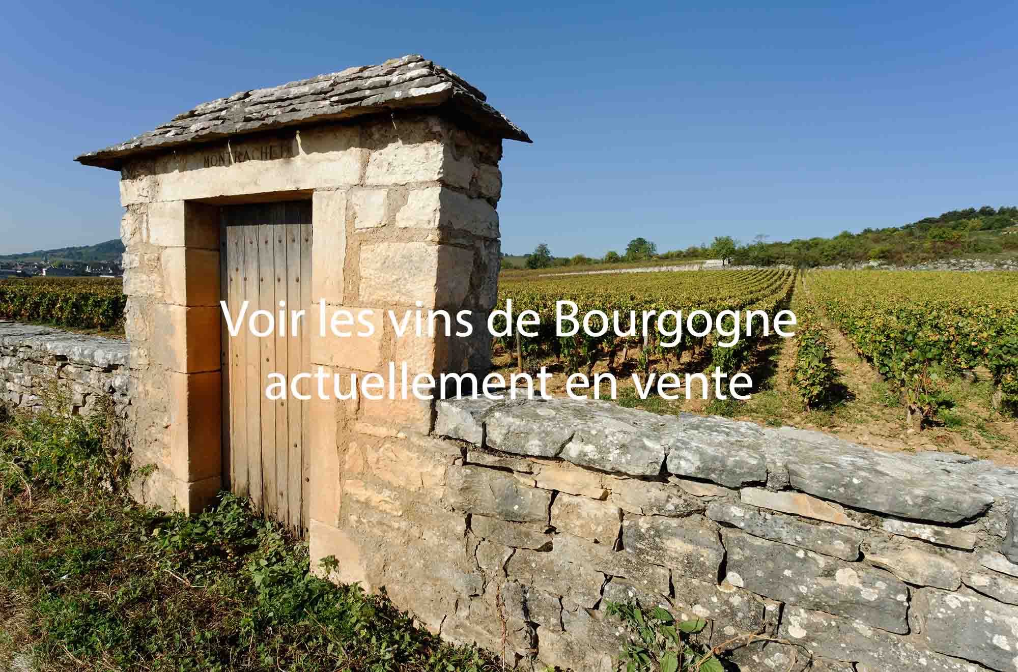 Notes millésime 2015 bon millésime Nord de la France vins de Bourgogne