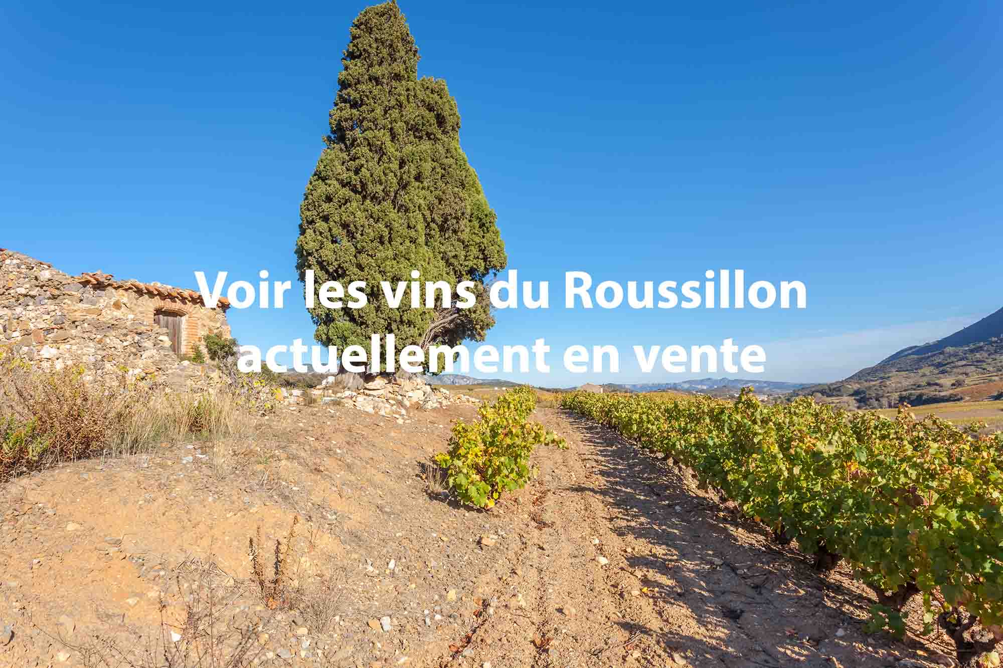 Notes millésime 2015 belle année vignobles du Sud iDealwine vins du Roussillon 