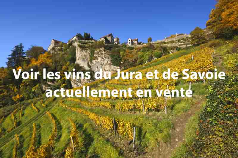 Notes millésime 2015 bon millésime Nord de la France vins du Jura Savoie en vente