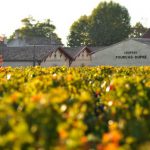 Château Fourcas-Dupré, grand maestro de Listrac-Médoc