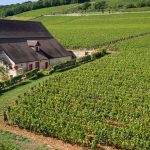 Le Clos de Tart change de main : bonne ou mauvaise nouvelle ?