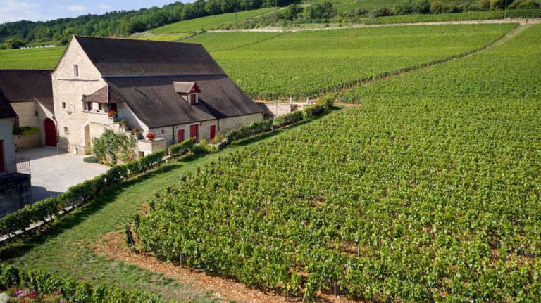 Lire la suite à propos de l’article Le Clos de Tart change de main : bonne ou mauvaise nouvelle ?