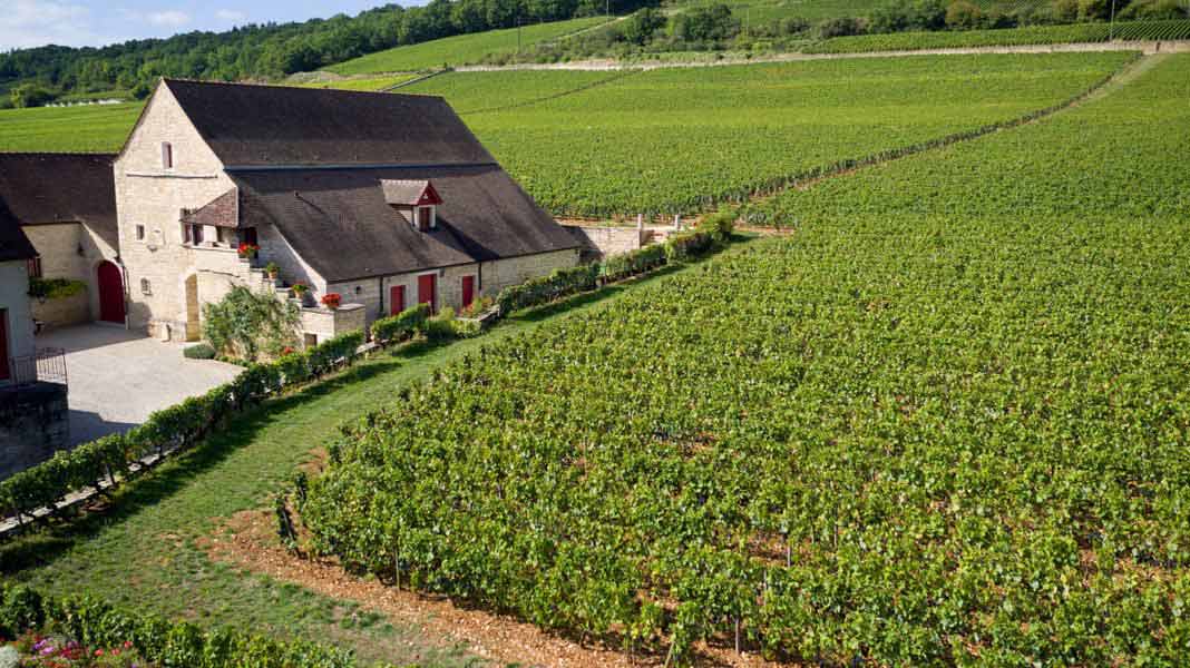 clos de tart vente