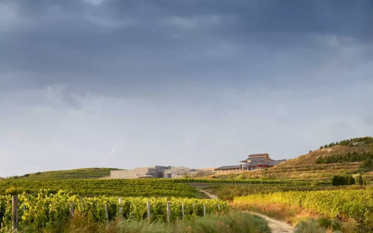Lire la suite à propos de l’article Le Château Lafite Rothschild pourrait commercialiser un vin chinois en 2018