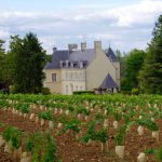 Le château de Villeneuve, domaine historique du Saumurois