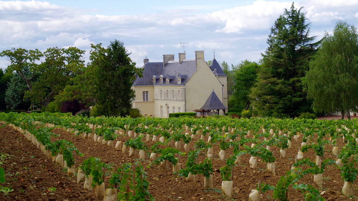 Lire la suite à propos de l’article Le château de Villeneuve, domaine historique du Saumurois