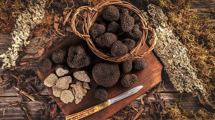 quels vins boire avec la truffe
