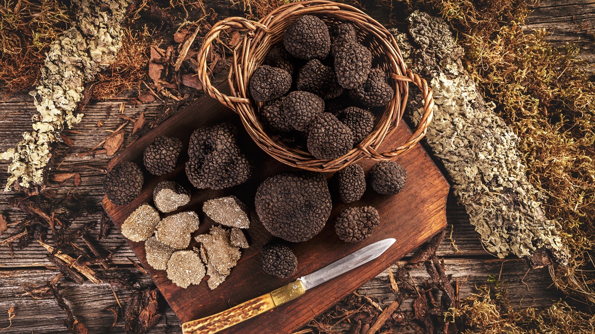 Lire la suite à propos de l’article Quels vins servir avec la truffe noire ?