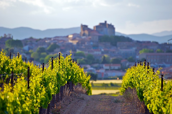 Languedoc iDealwine vignes