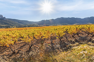 Lire la suite à propos de l’article Cap sur les délices du Languedoc-Roussillon, dès 9€