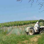 Vins de Bordeaux : une teneur en pesticides divisée par trois en moins de 4 ans