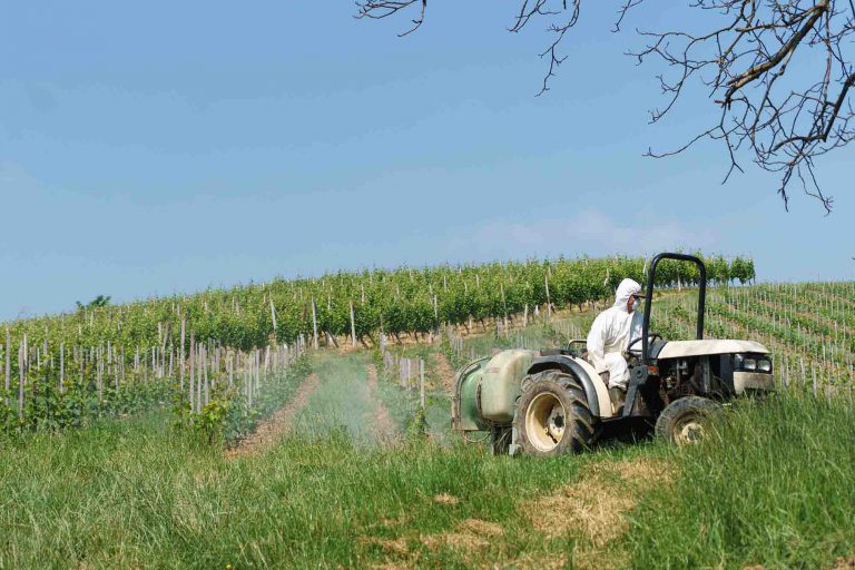 Lire la suite à propos de l’article Vins de Bordeaux : une teneur en pesticides divisée par trois en moins de 4 ans