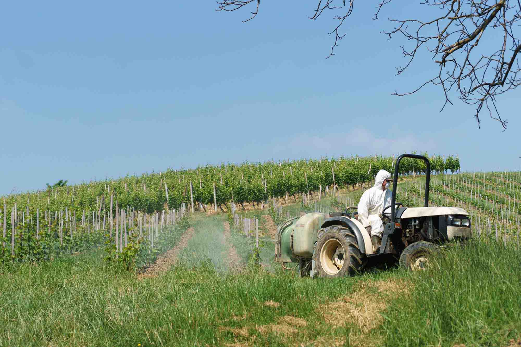 Vins de Bordeaux : une teneur en pesticides divisée par trois en moins de 4 ans iDealwine