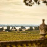 Château Pichon Longueville Comtesse de Lalande, un second cru de première classe