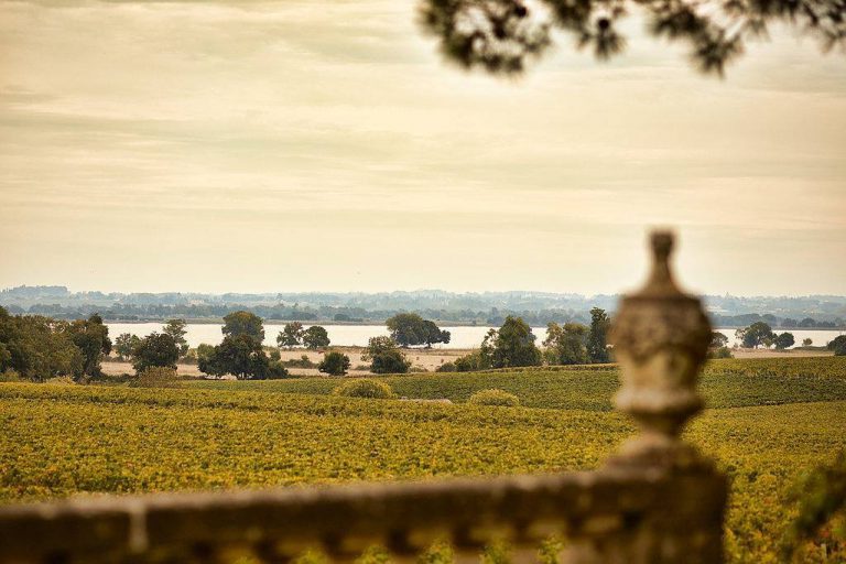 Lire la suite à propos de l’article Château Pichon Longueville Comtesse de Lalande, un second cru de première classe