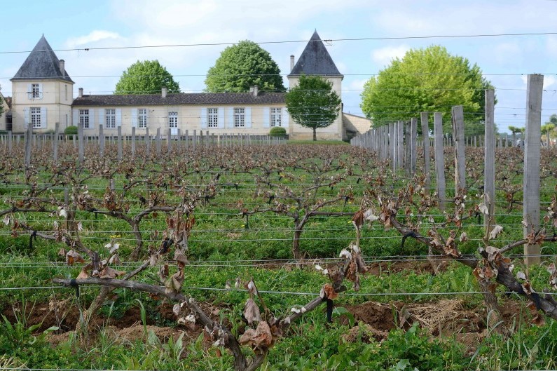 Lire la suite à propos de l’article Gel de printemps : pas de 2017 pour Château Climens