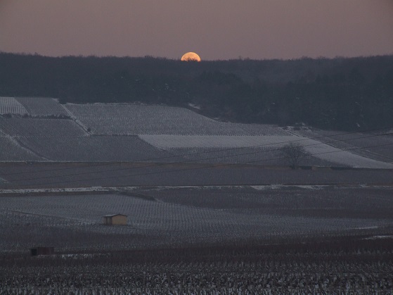 Levee de lune sur les premiers crus de Pernand-Vergelesses