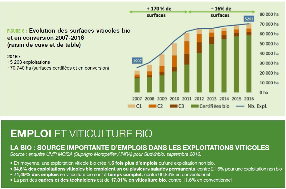 Marche vin bios 2018