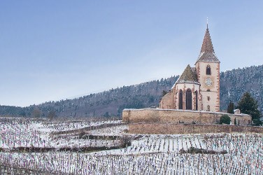 Lire la suite à propos de l’article Alsace, Jura, Savoie : les régions qui grimpent !