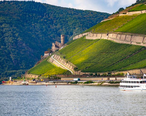 Lire la suite à propos de l’article Les grands vins blancs allemands, le guide iDealwine