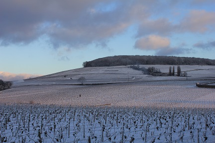 'ensemble sur le coteau de Corton