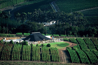 bouchard finlayson vignes