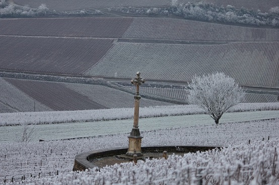 Lire la suite à propos de l’article Domaine Follin-Arbelet, des racines et des coteaux