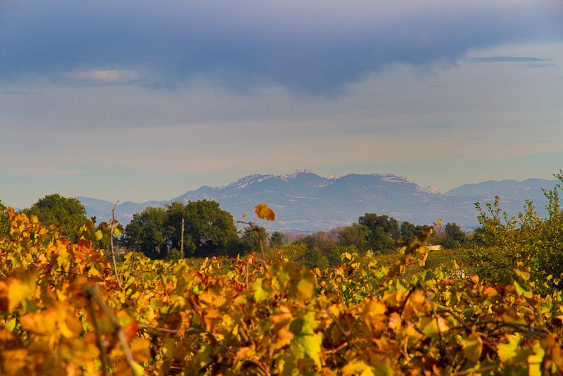 Lire la suite à propos de l’article Domaine Pierre André : le chef d’oeuvre de la nature à Châteauneuf-du-Pape