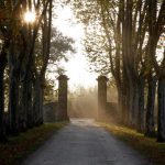 Sauternes : Château Guiraud, premier de la classe à bien des égards…