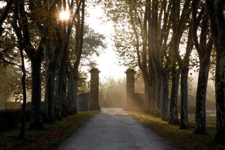 Lire la suite à propos de l’article Sauternes : Château Guiraud, premier de la classe à bien des égards…