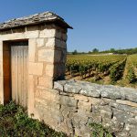 Guide des vins de Bourgogne : qu’est-ce qu’un climat ?