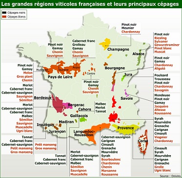 Les-grandes-regions-viticoles-francaises-et-leurs-cépages