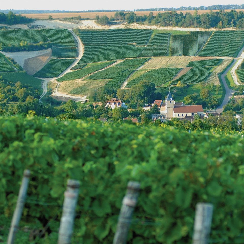 Lire la suite à propos de l’article Champagne Drappier : la maison familiale qui domine l’Aube