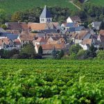 Domaine Vincent Gaudry, la signature biodynamique montante à Sancerre