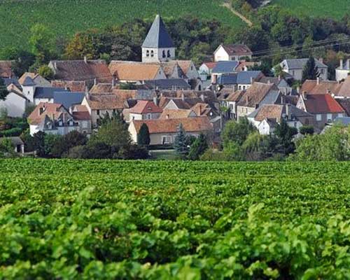 Vincent Gaudry Sancerre