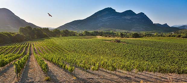 Domaine-Yves-Leccia-Corse iDealwine