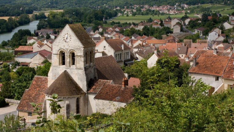 Lire la suite à propos de l’article Champagne Françoise Bedel : un pilier de la biodynamie en Champagne