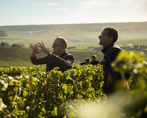 Lire la suite à propos de l’article Dom Pérignon change de chef de cave