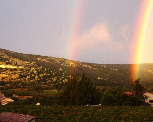 Lire la suite à propos de l’article Vins du Languedoc : les clés du succès au domaine d’Aupilhac