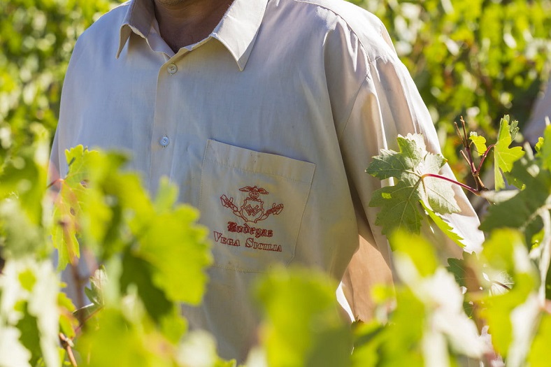 Vega Sicilia : au cœur de la Castille, le roi des vins espagnols iDealwine